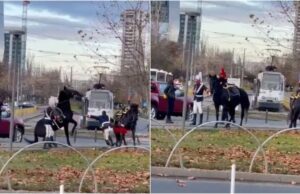 Militarul care a căzut de pe cal la parada de 1 Decembrie, cercetat de procurori pentru că a stricat imaginea Jandarmiei Române