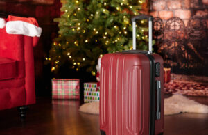 Așa ceva depășește orice imaginație. Ce a găsit o femeie în bagaje când s-a întors acasă dintr-o călătorie în Europa, în locul cadourilor cumpărate – – –