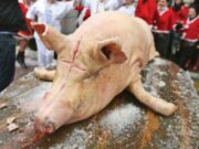 Crezi că le-ai văzut pe toate? Mai mulți români au tăiat porcul în fața blocului și l-au pârlit între mașinile parcate