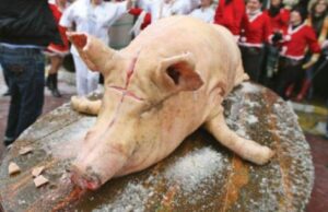 Crezi că le-ai văzut pe toate? Mai mulți români au tăiat porcul în fața blocului și l-au pârlit între mașinile parcate