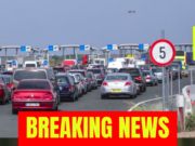 ŞOC! Răsturnare de situaţie la nivel mondial: directorul OMS cere ÎNCETAREA imediată a administrării cele de-a treia doze – >>