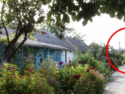 Locul secret din România unde femeile pot trăi pe gratis, primesc de la oameni mâncare și nu trebuie să muncească. Li se cere să facă un singur lucru pentru a trăi fără nicio grijă. Ce fac toată ziua acolo, un loc unic în lume – >>