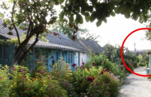 Locul secret din România unde femeile pot trăi pe gratis, primesc de la oameni mâncare și nu trebuie să muncească. Li se cere să facă un singur lucru pentru a trăi fără nicio grijă. Ce fac toată ziua acolo, un loc unic în lume – >>