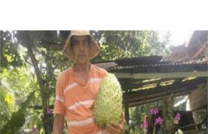 De ce ni se ascunde asta? Fructul care tratează cancerul. Este mai puternic de 1000 de ori decât chimioterapia..–>