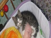 O mamă și-a auzit fiica plângând, s-a dus în grabă s-o liniștească. Când a intrat în cameră i-au tremurat picioarele. Iată cum și-a găsit fiica..–>