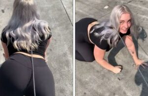 A renunțat la jobul ei pentru a avea viața unui câine. Ce se întâmplă când iese pe stradă