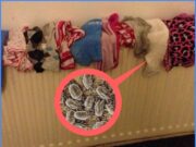 Cum usuci corect hainele în casă. Greșeala pe care să nu o mai faci