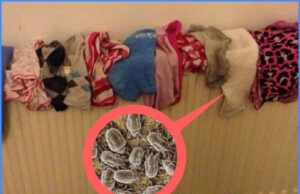 Cum usuci corect hainele în casă. Greșeala pe care să nu o mai faci