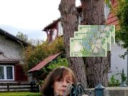 Marina Voica a împlinit anul acesta 85 de ani și trăieşte singură, departe de Bucureşti. Nu are pe nimeni şi îi este foarte greu, mai ales că a fost şi operată… Ce pensie primeşte marea artista de la statul roman