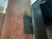 FACEREA DE BINE…NU MIROASE-A BINE! CE A PĂȚIT O FEMEIE DIN CONSTANȚA, DUPĂ CE I-A ÎNCHIRIAT APARTAMENTUL UNEI FEMEI CU DOI COPII: