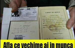Cum afli dacă câtă vechime ai în muncă și dacă ți-au fost plătite contribuțiile pentru pensie – >>