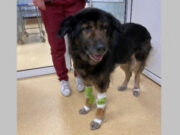 Un bărbat, umilit și lăsat în frig de Primăria Cluj-Napoca. Povestea acestuia este emoţionantă!