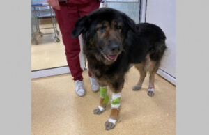 Un bărbat, umilit și lăsat în frig de Primăria Cluj-Napoca. Povestea acestuia este emoţionantă!