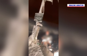 Accident șocant! Încă o tânără a murit după ce colacul tractat de o mașină în care s-a suit s-a lovit de un copac, la Negrești-Oaș – – –