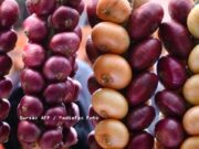 Fantezie usturatoare! La 77 de ani, a ajuns la spital cu o ceapa in vagin!