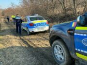 Întâmplare stranie în Botoșani. Mai multe păsări moarte spânzurate în copaci au dispărut până la sosirea poliției