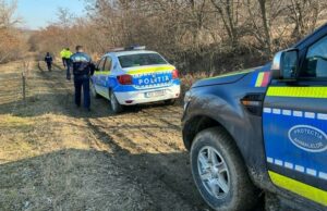 Întâmplare stranie în Botoșani. Mai multe păsări moarte spânzurate în copaci au dispărut până la sosirea poliției