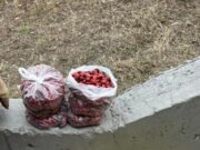 Are 18 ani, dar nu merge la distracții ca alți adolescenți. El vinde măceșe la colț de stradă și speră că lumea să cumpere măcar o pungă.