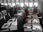 Au pus 3300 de nou-născuți și copii în cutii și i-au băgat într-un avion, ce s-a întâmplat cu ei peste numai câteva ore e incredibil! Uite care e adevărul cutremurător din spatele acestei imagini –>