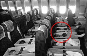 Au pus 3300 de nou-născuți și copii în cutii și i-au băgat într-un avion, ce s-a întâmplat cu ei peste numai câteva ore e incredibil! Uite care e adevărul cutremurător din spatele acestei imagini –>