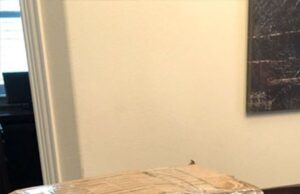 CE A PĂȚIT O FEMEIE DIN IAȘI DUPĂ CE A COMANDAT PRODUSE DINTR-UN MARE MAGAZIN ONLINE: ”SĂNĂTATEA COPILULUI MEU ȘI IMPLICIT A MEA AU FOST AFECTATE ”