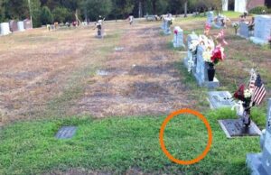 Au mers în cimitir la mormântul fiului și au văzut că doar la el era iarba verde. La început au crezut că e un miracol, însă apoi au aflat adevărul –»