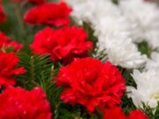 Tradiții de înmormântare: pomana