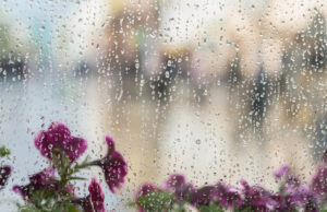 Alertă meteo ANM! Vremea se schimbă radical în România. Meteorologii vin cu datele actualizate