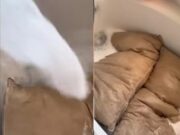 O femeie a spălat pernele soţului ei şi a avut parte de un şoc. Imaginile au devenit virale