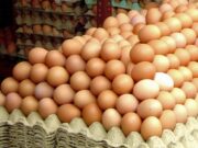 Chiar în preajma Paștelui, ouăle înregistrează cea mai mare creștere de cost din ultimii ani