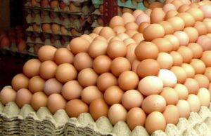 Chiar în preajma Paștelui, ouăle înregistrează cea mai mare creștere de cost din ultimii ani