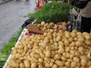 Primii cartofi noi românești au ajuns în piețe. E incredibil cât a ajuns să coste un kilogram –>>