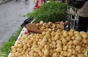 Primii cartofi noi românești au ajuns în piețe. E incredibil cât a ajuns să coste un kilogram –>>