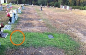 Au mers în cimitir la mormântul fiului și au văzut că doar la el era iarba verde. La început au crezut că e un miracol, însă apoi au aflat adevărul –»