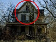 Cand era mic, tatal lui si-a luat familia si a fugit. Peste 70 de ani, fiul s-a intors in vechea casa, s-a urcat in pod si a gasit o ata pe jos. A tras de ea si s-a inchinat cand a vazut ce iesea la suprafata