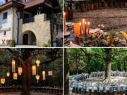 Pădure, asaltată de tot mai mulți îndrăgostiți! O singură noapte costă peste 800 de euro