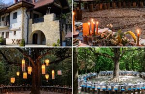 Pădure, asaltată de tot mai mulți îndrăgostiți! O singură noapte costă peste 800 de euro