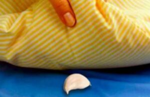 Această femeie a pus un cățel de usturoi sub perna băiatului ei în fiecare seară. Și tu vei proceda la fel după ce vei afla de ce