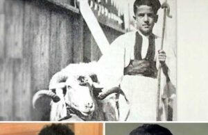 Care era porecla lui Gigi Becali din tinereţe și din ce cauză i se spunea așa –»