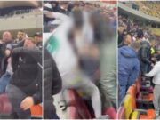 „Luciane, gata, băi! Opreşte-te!”. Suporter snopit în bătaie de nepotul lui Becali, pe Arena Naţională, după meciul dintre FCSB şi Universitatea Craiova