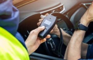 Beat și cu permisul suspendat, un brăilean a mers la Poliție să anunțe că a lovit o pasăre