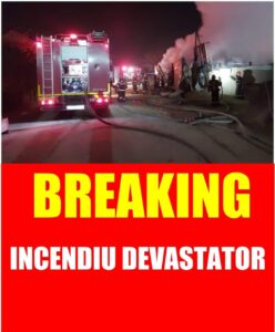 FB_IMG_1652557396802