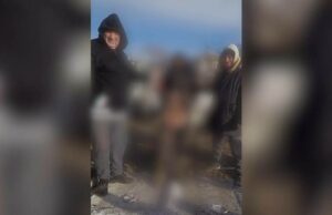 Ce riscă cei doi gropari care au deshumat rămășițele unei femei din cimitir pe muzică de petrecere