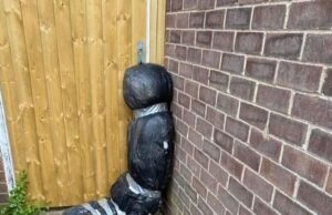 Viral. O mamă s-a trezit cu poliția acasă, după ce vecinii au crezut că omorât pe cineva