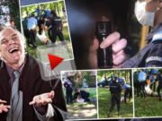 Judecătorii au dat liber Jandarmeriei să gazeze români până la moarte / Angajata MAI condamnată inițial pentru că a ucis un suspect cu un spray paralizant deținut ilegal, achitată definitiv