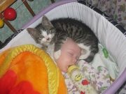 O mamă și-a auzit fiica plângând, s-a dus în grabă s-o liniștească. Când a intrat în cameră i-au tremurat picioarele. Iată cum și-a găsit fiica:Citeste aici – >>