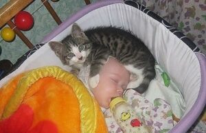 O mamă și-a auzit fiica plângând, s-a dus în grabă s-o liniștească. Când a intrat în cameră i-au tremurat picioarele. Iată cum și-a găsit fiica:Citeste aici – >>