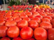 Alertă în pieţele din România. Roşiile pline de pesticide au invadat tarabele. Cum le recunoşti