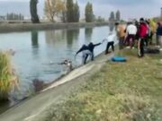 Copil din Bacău salvat de la înec de un tânăr. Copilul a fugit imediat după ce a fost scos din apă