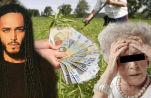 Personajul neașteptat care era paravan în afacerea cu droguri a modelului Suhaib